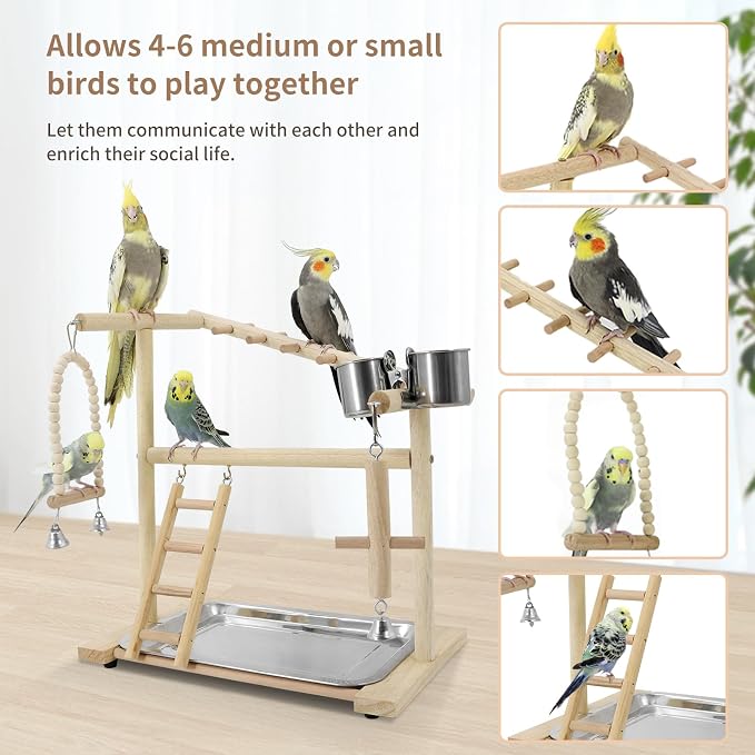Bird Playground, Playstand for Parrot Cage Accessories - Image 2