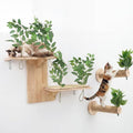Novabright 3 Pcs Cat Wall Shelves Set, Double-Layer Platform Cat Wall Furniture by Unknown