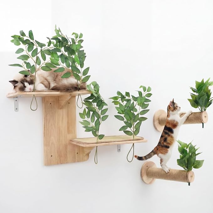Novabright 3 Pcs Cat Wall Shelves Set, Double-Layer Platform Cat Wall Furniture by Unknown