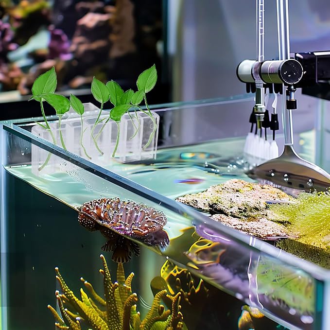 2PC 7 Holes Upgraded Aquarium Plant Holder, Aquatic Plants Cup - Image 2