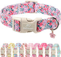 Floral Dog Collar, Cute Girl Dog Collars by Babolepet