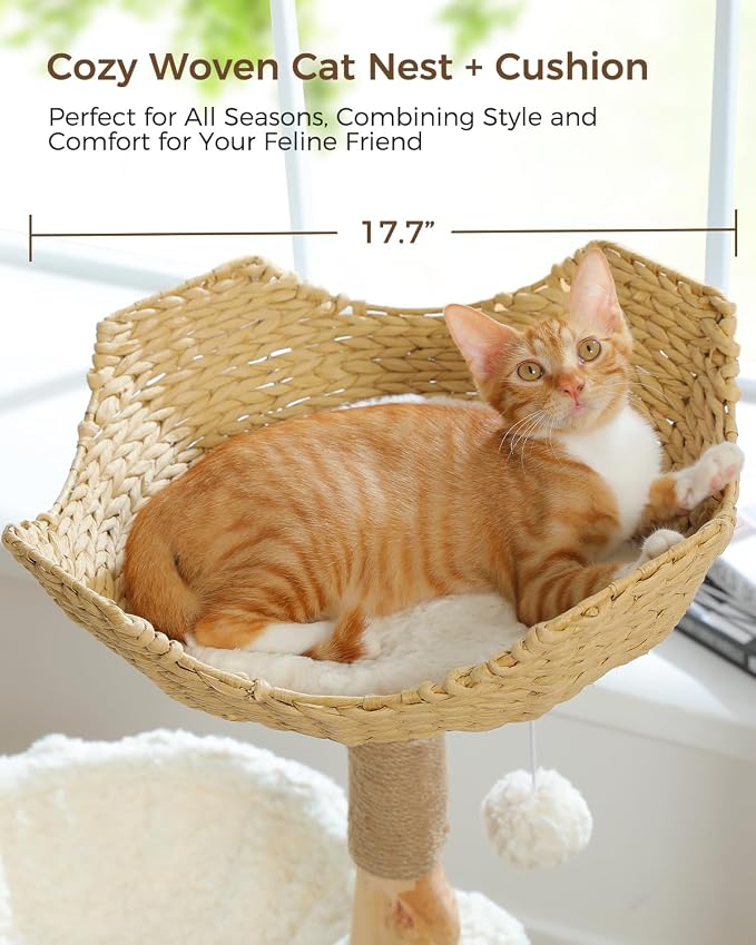 Modern Cat Tree for Large Cats, Wood Cat Tower for Indoor Cats, Real Branch - Image 5