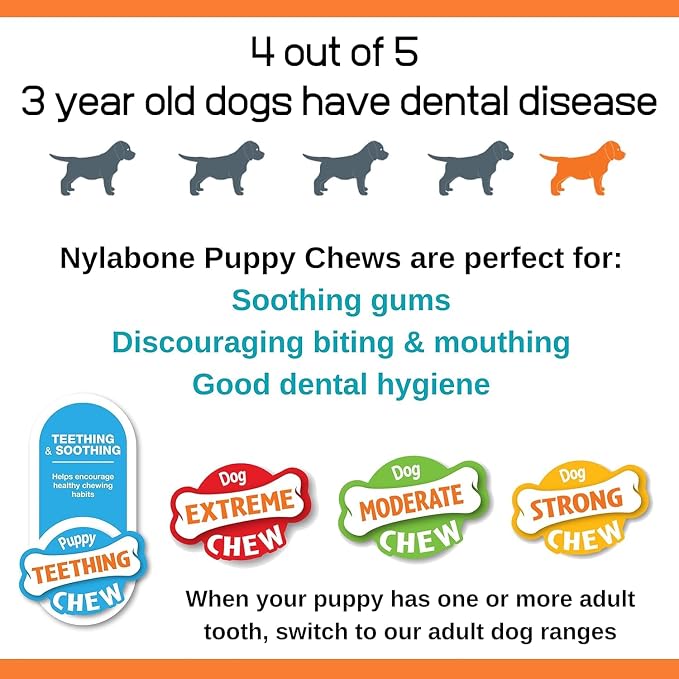 Nylabone Rubber Teether Puppy Chew Toy, Teething Toys - Image 6