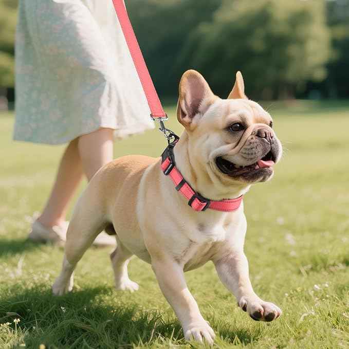 Joytale Reflective Dog Collar, Soft Neoprene Padded, Metal D-Ring, Nylon Pet