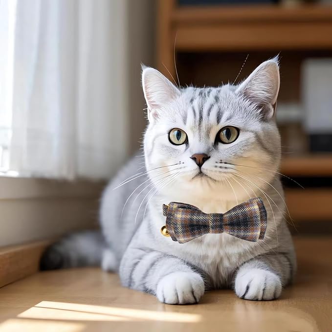 2 Pack Soft Cotton Cat Collars - Image 6