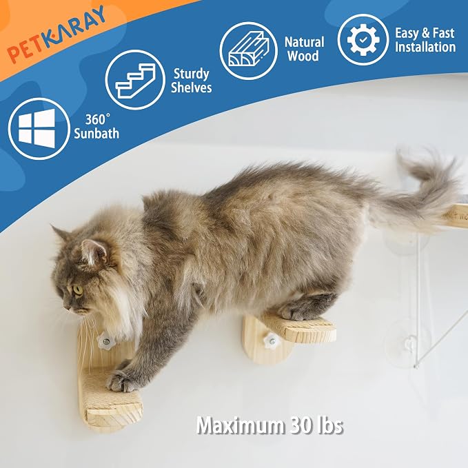 PETKARAY Cat Window Shelf, Original Cat Window Perch Stairs, Durable Kitty Seat - Image 3