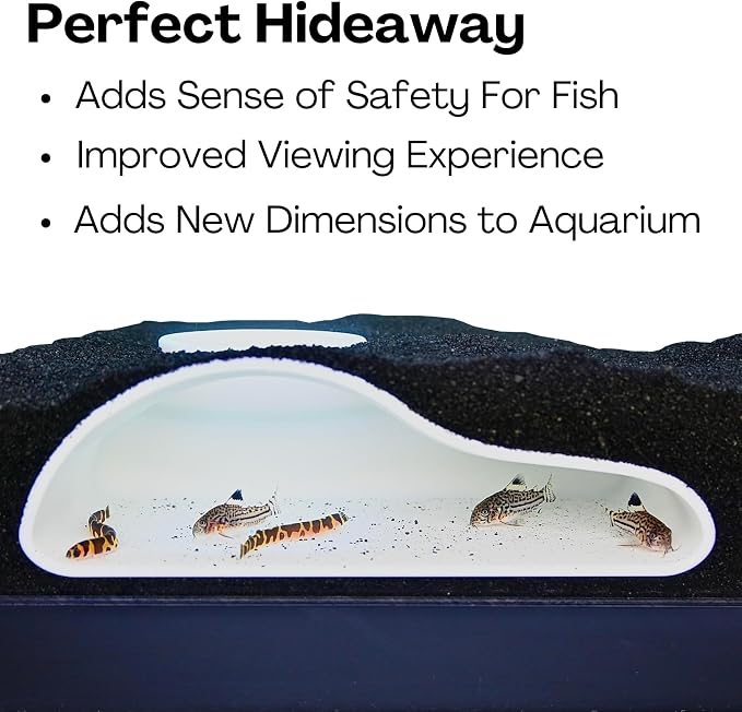 Aquarium Underground Tunnel Cave Natural Curve | Viewing Fish & Shrimp Under - Image 4