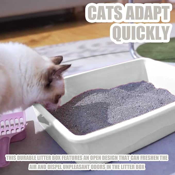 Small Litter Box, Plastic Kitten Litter Box, 13.9 x 9.8 x 3 Inch Open Litter Box - Image 4