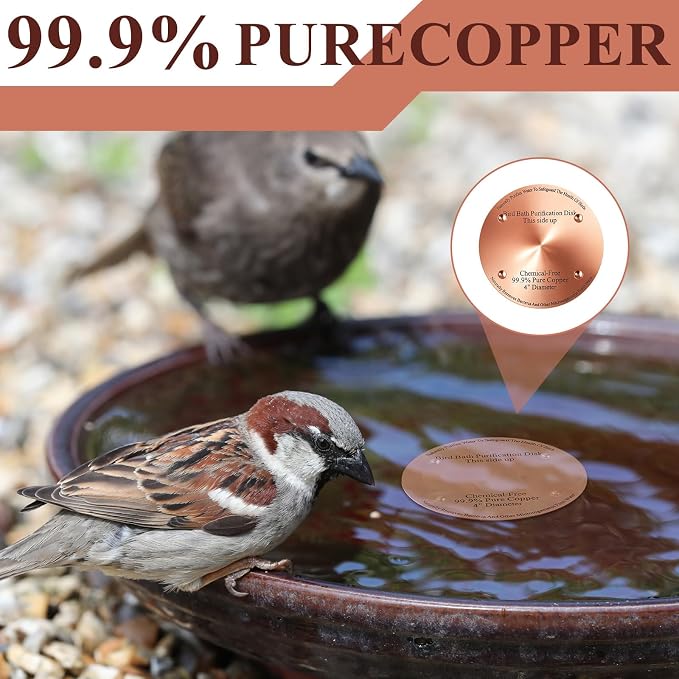 1 Pcs Bird Bath Copper Disk, 0.6mm Thick Reinforced 99.99% Pure Copper Birdbath - Image 5