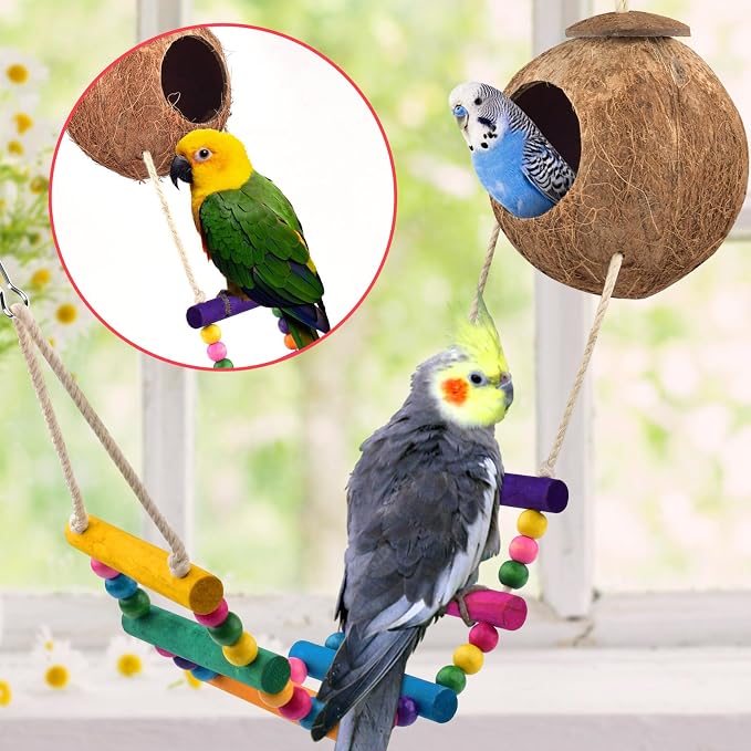KATUMO Bird Toys, Parrot Swing Parakeet Ladder Conure Wood Perch Bird Chew Toys - Image 3