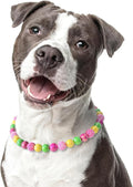Beaded Dog Necklace Collar, Adjustable Jewelry-Inspired Design by JOGIA