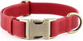 Plutus Pet Genuine Leather Dog Collar – Adjustable Pet Collar by PLUTUSPET