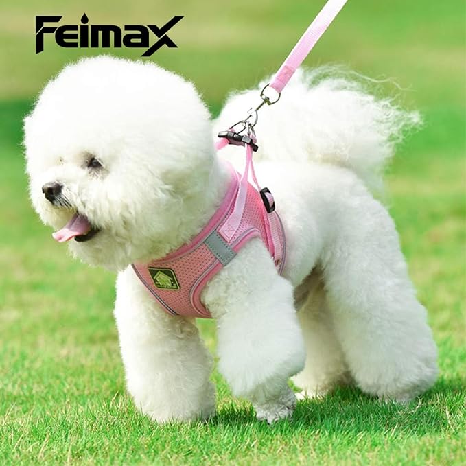 FEimaX Dog Harness and Leash Set, No Pull Breathable Soft Mesh Puppy Vest - Image 4