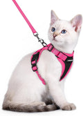 rabbitgoo Cat Harness and Leash Set, Escape Proof Soft Adjustable Vest Harnesses by rabbitgoo