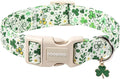 DOGWONG St Patrick's Dog Collar by DOGWONG