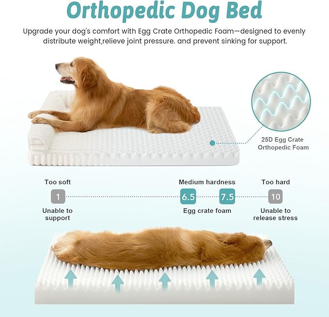 Cute Dog Bed for Small Dogs, Faux Rabbit Fur Orthopedic Foam Dog Bed - Image 4