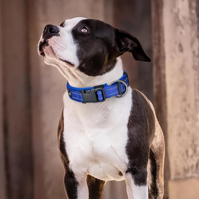 EXCELLENT ELITE SPANKER Reflective Dog Collar Classic Soft Padded Breathable - Image 6