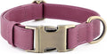 Plutus Pet Genuine Leather Dog Collar – Adjustable Pet Collar by PLUTUSPET