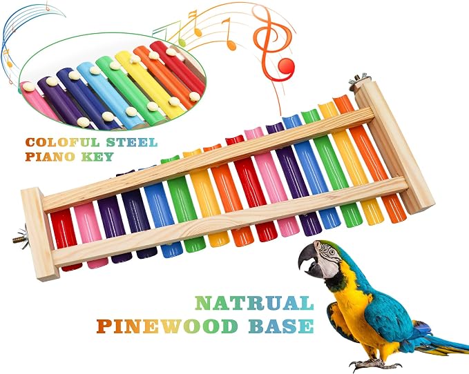 Dnoifne Colorful Bird Xylophone Toy, Funny Xylophone Toy - Image 4