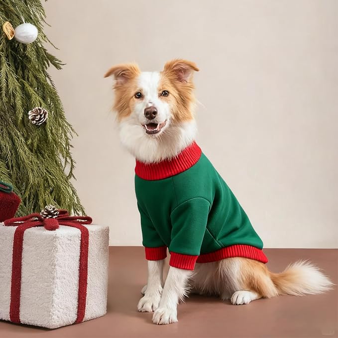 Custom Dog Hoodie, Personalized Sweatshirt - Image 5