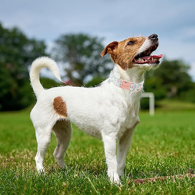 Unique style paws Dog Collar Metal Buckle Green Flowers Collar Gift Durable - Image 3
