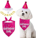 Dog Birthday Bandana Set, Rose Pink Birthday Girl Decorations, HBD Party by GHSJYOHomeDecoration