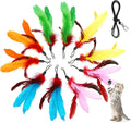 11PCS Cat Feather Toys Refills, Interactive Cat Wand Toy Replacement by MeoHui