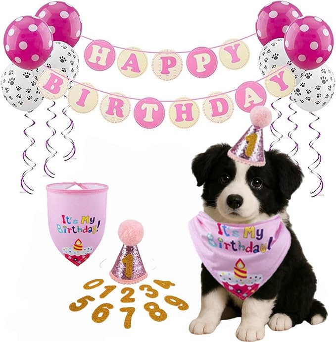Pet Birthday Party Set, Dogs Bandana and Dog Birthday Hat by Unknown