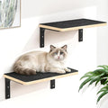 2PCS Cat Wall Shelves with Felt Board, 17x9.85 Inch Solid Wood Cat Wall by Chuiendi