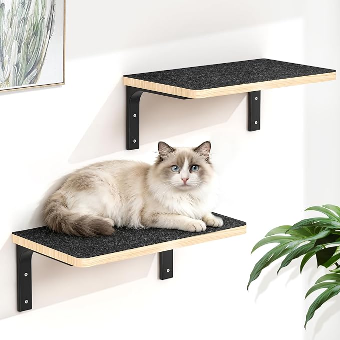 2PCS Cat Wall Shelves with Felt Board, 17x9.85 Inch Solid Wood Cat Wall by Chuiendi