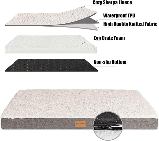 Patas Lague Orthopedic Jumbo Dog Bed - Image 4