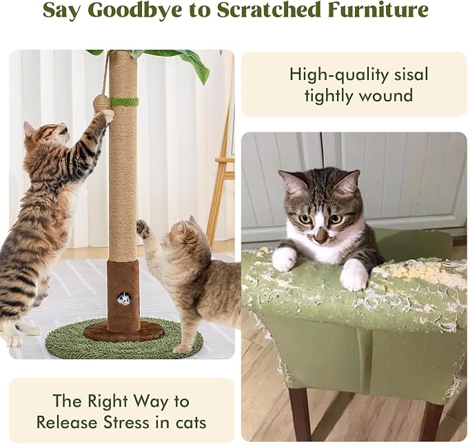 Cat Scratching Post for Indoor Cats and Kitten - Image 6