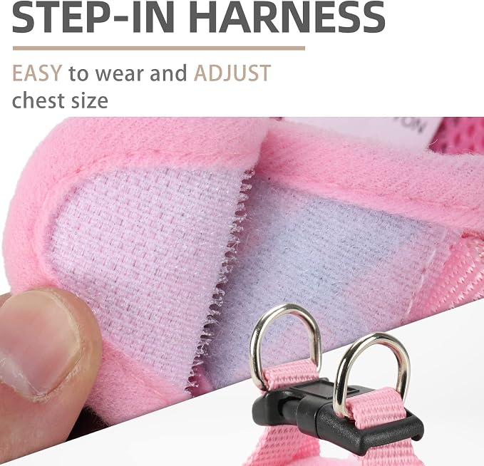 PUPTECK Adjustable Dog Harness Collar and Leash Set Step in No Pull Pet Harness - Image 3