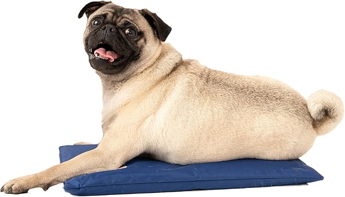 CoolerDog Hydro Cooling Mini Mat - Image 3