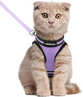rabbitgoo Cat Harness and Leash Set by rabbitgoo