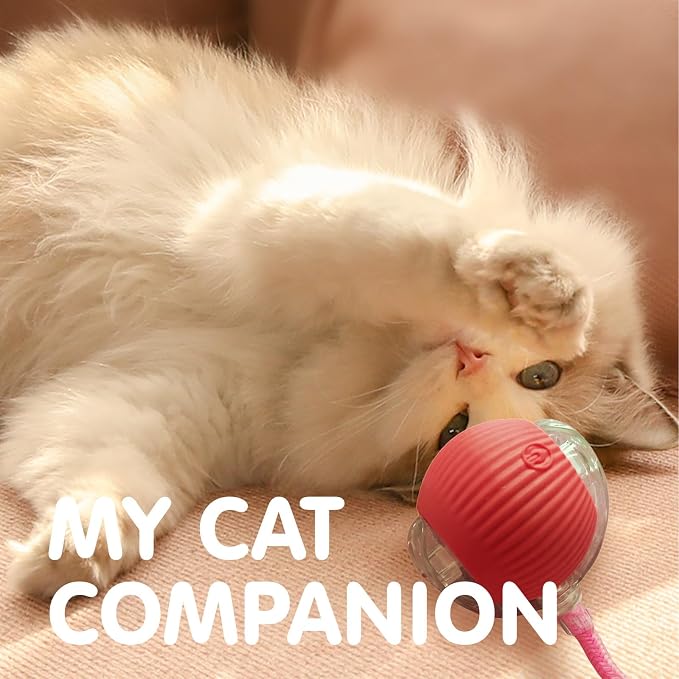 Rocfish Durable Interactive Cat Toys - Image 8