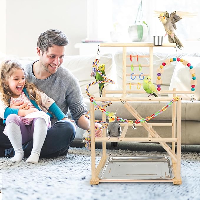 Bird Playground, Parrots Playstand - Image 7