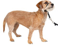 PetSafe Gentle Leader Headcollar No-Pull Dog Collar by PetSafe