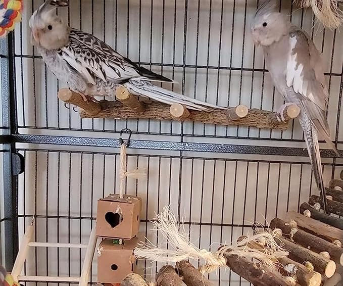 Bird Parrot Ladder Perch for Cage, Nature Wooden Bird Bridge Exercise Stands - Image 3