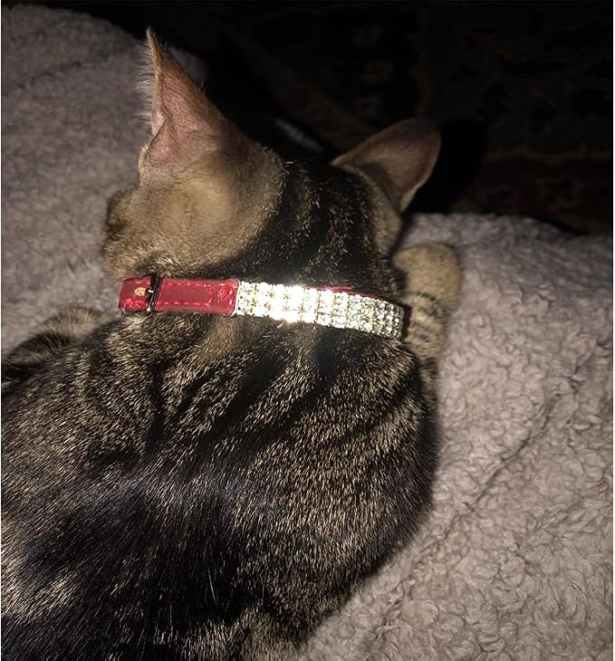 CHUKCHI Soft Velvet Safe Cat Adjustable Collar Bling Diamante - Image 6