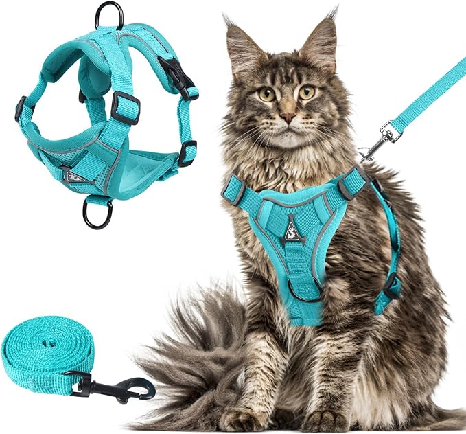 Wanheart Summer cat Chest Harness and Leash, Anti-Escape Adjustable Soft mesh by Unknown