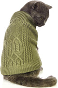 Stretchy Cat Sweater by Jnancun