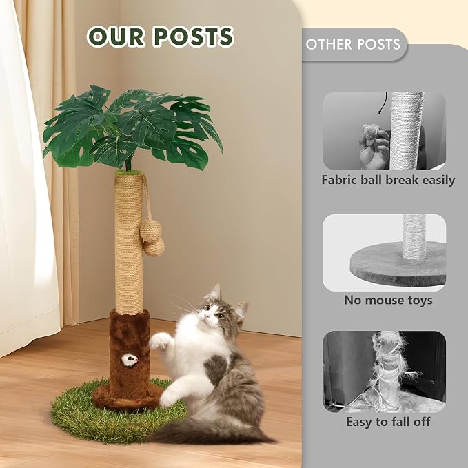 Cat Scratching Post for Indoor Cats and Kitten - Image 5