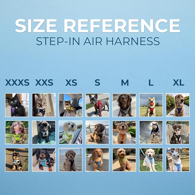 Best Pet Supplies Voyager Step-in Air Harness - Image 5
