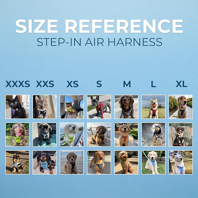 Best Pet Supplies Voyager Step-in Air Harness - Image 5