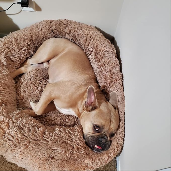 Calming Dog Bed for Medium Dogs Washable Donut 30 inches Anti-Slip Pet Bed - Image 7