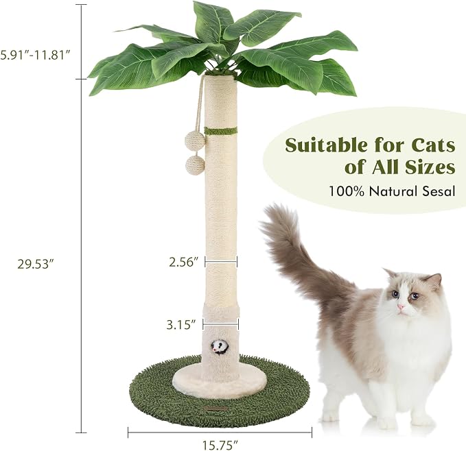 Cat Scratching Post for Indoor Cats and Kitten - Image 6