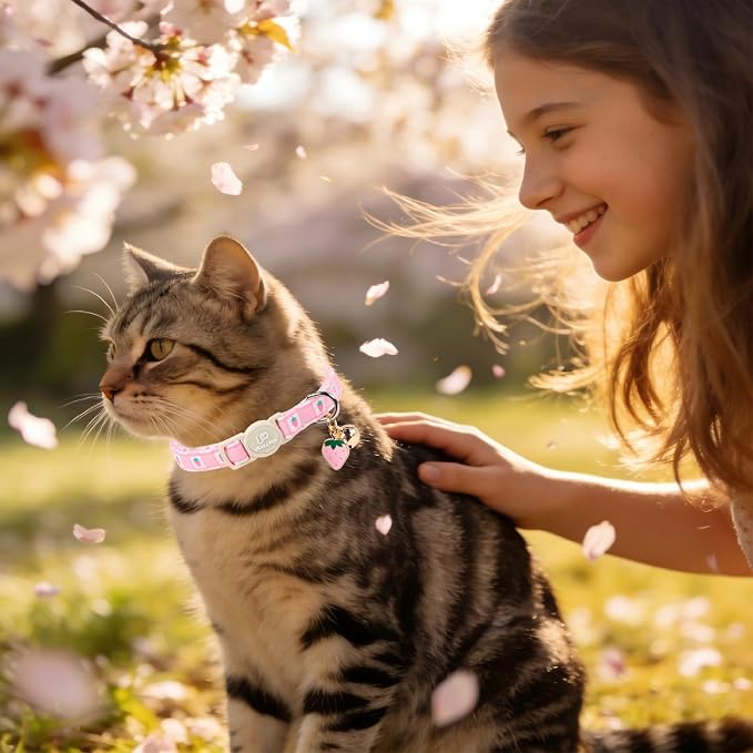Cat Collar, Pretty Flower Kitten Collars - Image 6