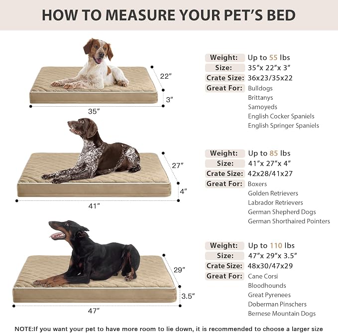 WNPETHOME Orthopedic XL Dog Bed - Image 5