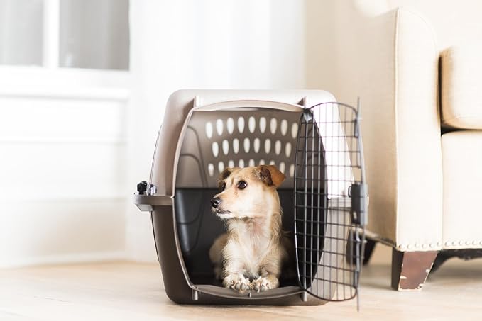 Petmate Dog Crates for Small Dogs & Cat Carriers, Two-Door Plastic Pet Kennel - Image 7
